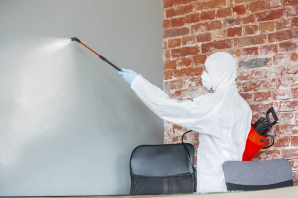 Best Dehumidification Services  in Ore City, TX