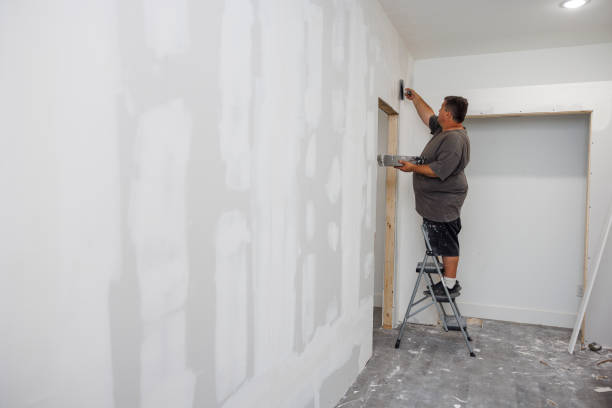 Ore City, TX Mold Removal Company
