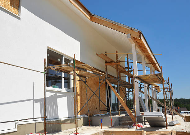 Best Biohazard Mold Removal  in Ore City, TX