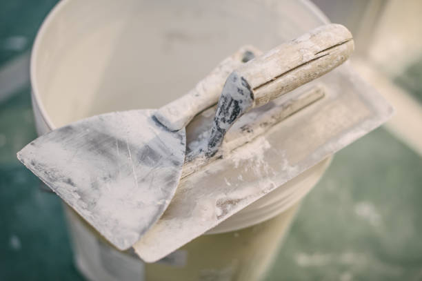 Best Forensic Mold Investigation  in Ore City, TX